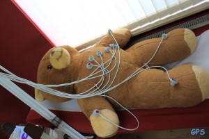 Teddy beim EKG