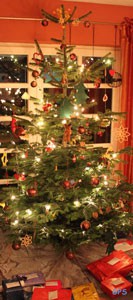 Frohe Weihnachten aus der Gemeinschaftspraxis Sülze-Bergen