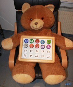 Teddy beim Hirnleistungstest
