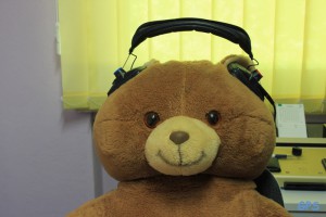 Teddy beim Hörtest