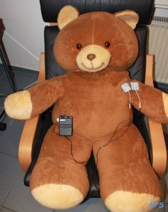 Teddy bei der Reizstromtherapie
