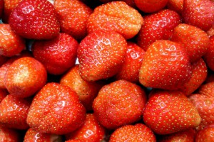 Erdbeeren - Frisch gepflückt schmecken sie auch ohne Zucker