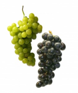 Weintrauben - Besonders rote und blaue Trauben schützen vor Krebs und Herzinfarkt